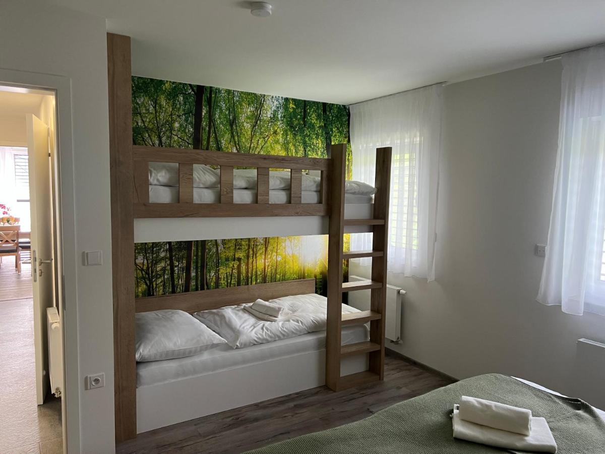 Apartman - Dolni Morava - "Sedmicka" Pro 2 Az 6 Osob エクステリア 写真