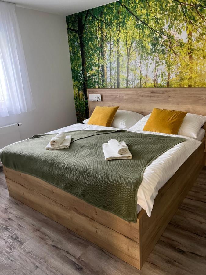 Apartman - Dolni Morava - "Sedmicka" Pro 2 Az 6 Osob エクステリア 写真