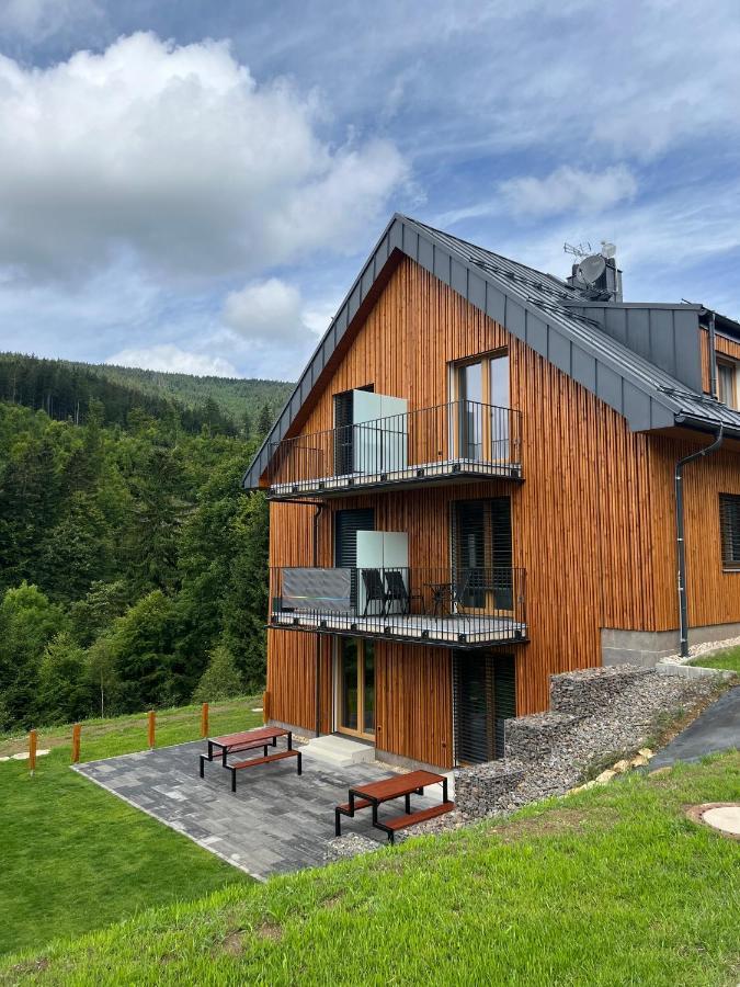 Apartman - Dolni Morava - "Sedmicka" Pro 2 Az 6 Osob エクステリア 写真